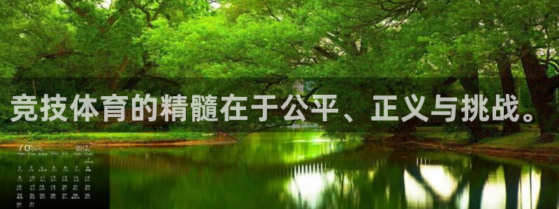 竞技体育的精髓在于公平、正义与挑战。
