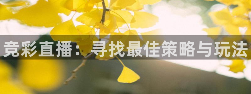 竞彩直播：寻找最佳策略与玩法
