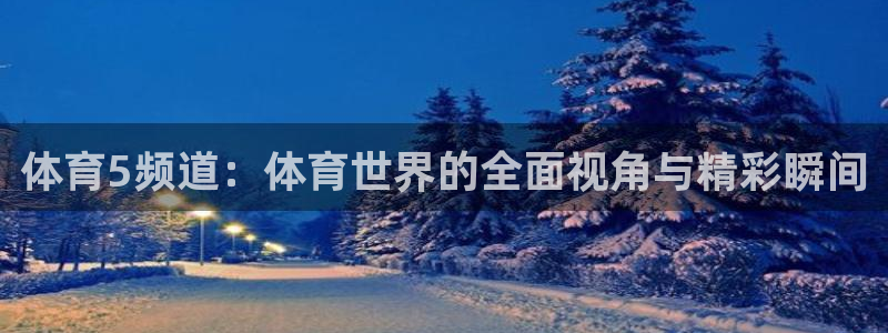 体育5频道：体育世界的全面视角与精彩瞬间