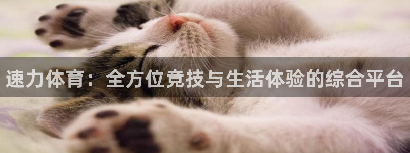 速力体育：全方位竞技与生活体验的综合平台