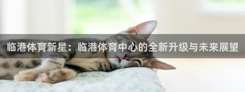 意昂体育代理申请流程