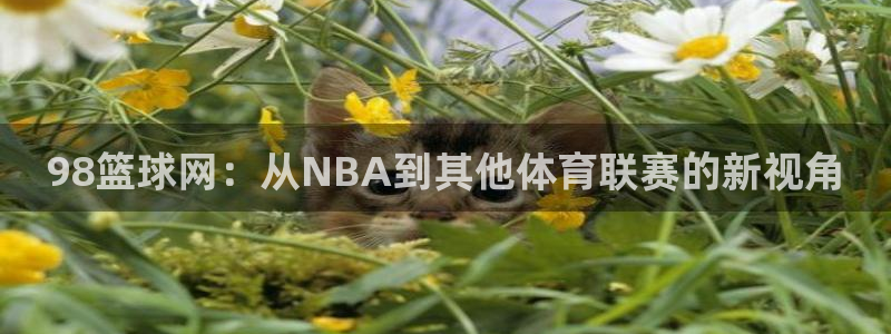 意昂代理注册链接：98篮球网：从NBA到其他体育联赛的新视角