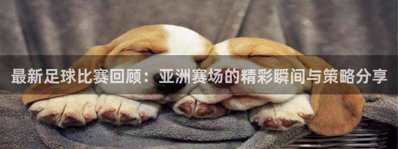 东莞市大朗意昂五金厂：最新足球比赛回顾：亚洲赛场的精彩瞬间与策略分享