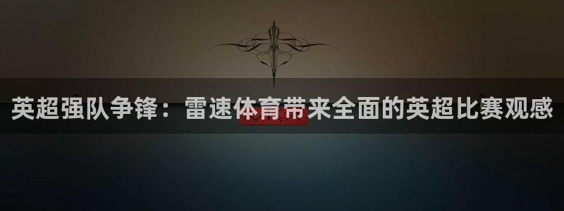 东莞市大朗意昂五金厂：英超强队争锋：雷速体育带来全面的英超比赛观感